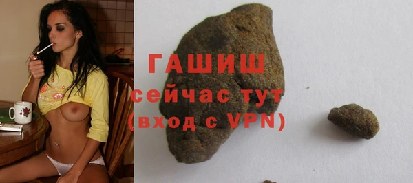 индика Медвежьегорск