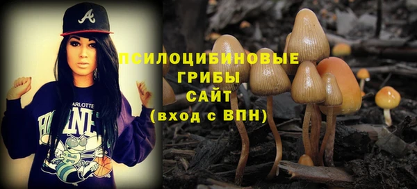 Альфа ПВП Михайловск